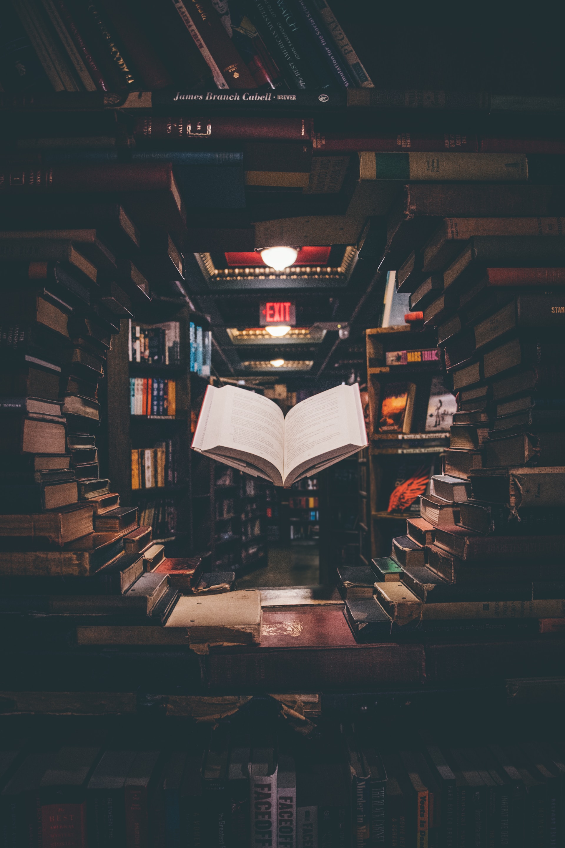 First Edition Books: Your Guide to Identifying and Valuing Literary Treasures