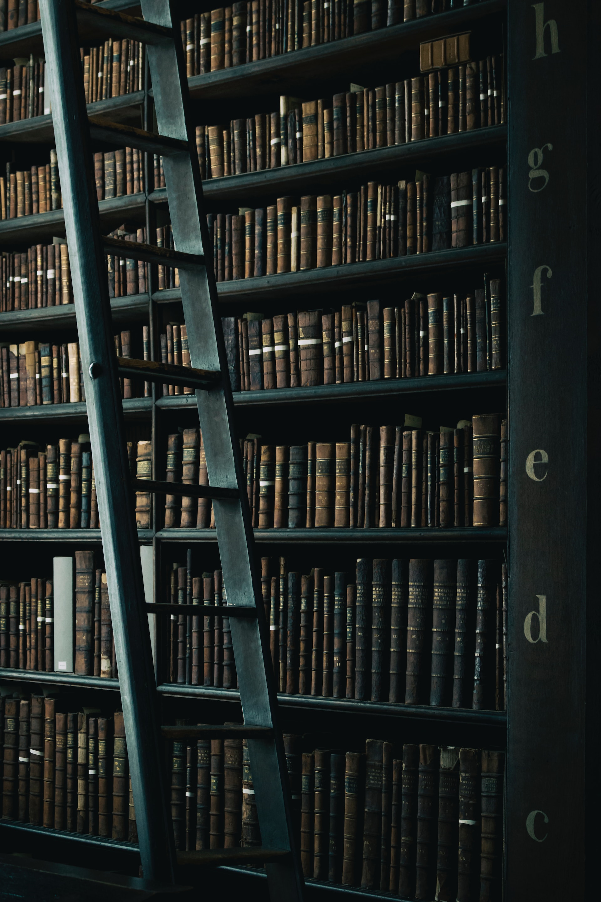 10 Ways to Actually Read More Books This Year (No, Really!)